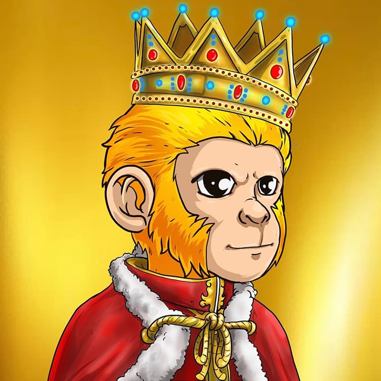 polygon monkeys nft