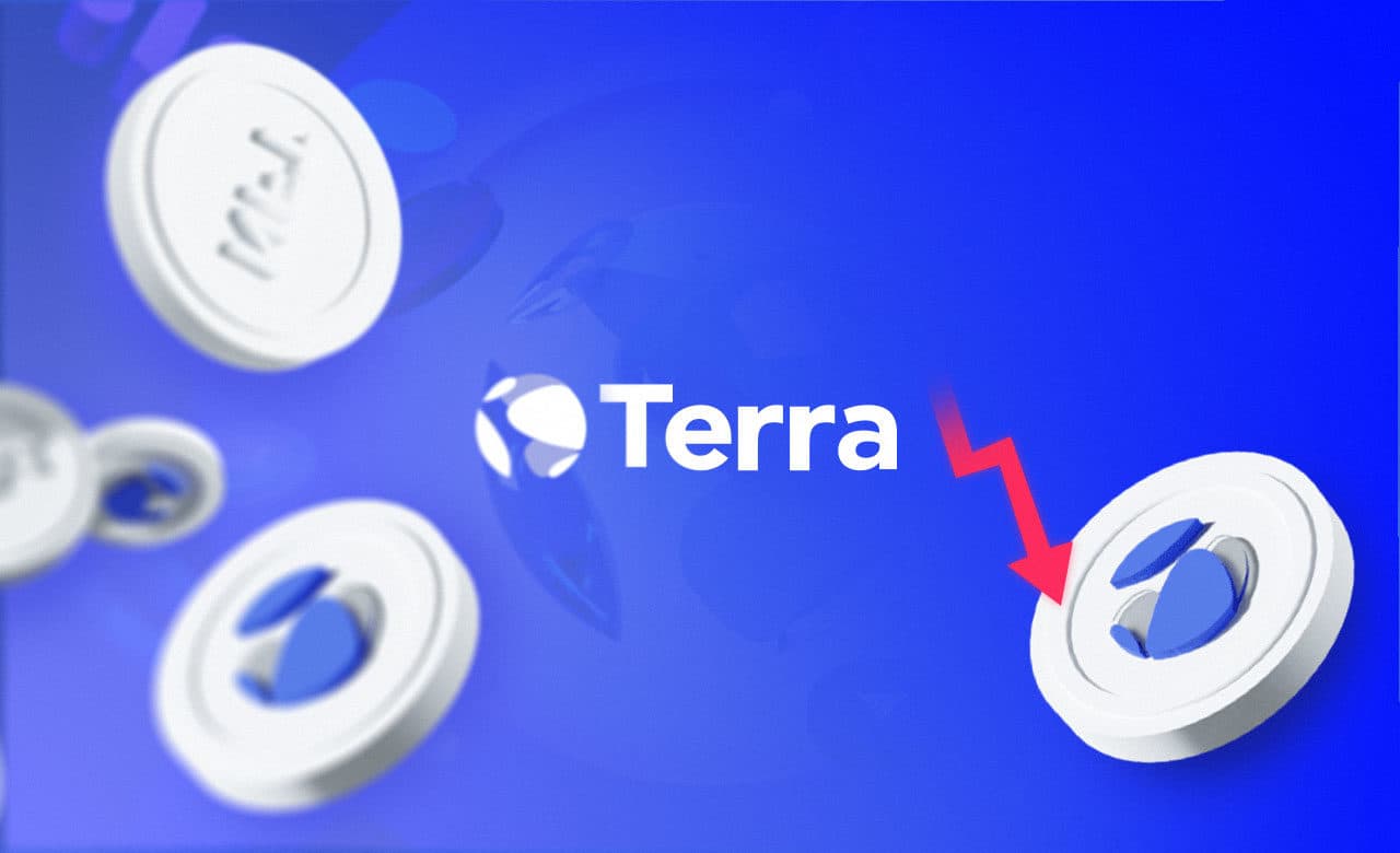 terra banniere