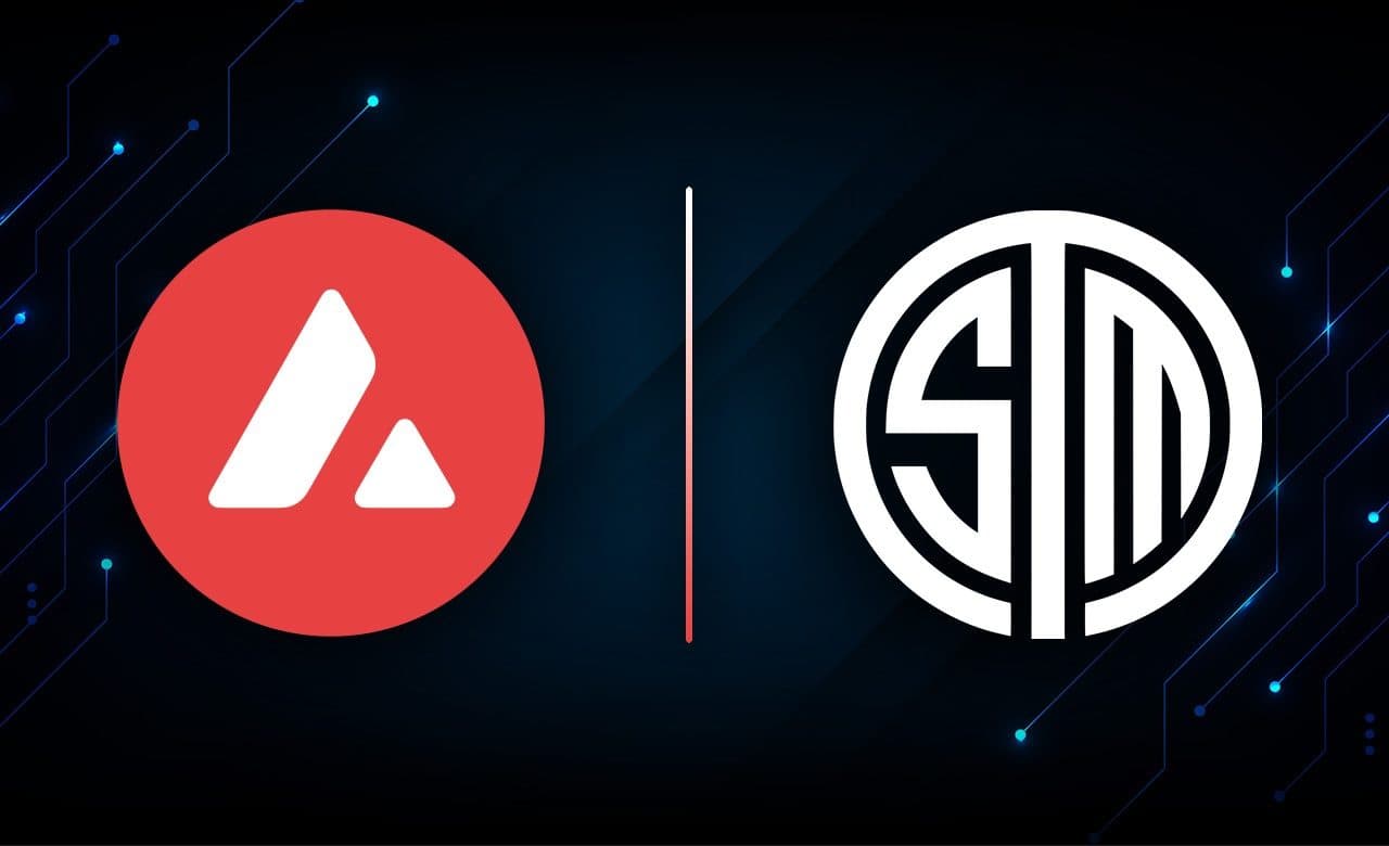banniere tsm avalanche